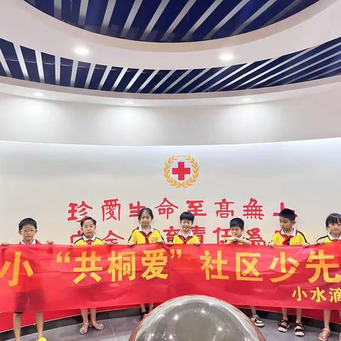 救在身边    校园守护——“桐小”共桐爱社区少先队205中队阳光小队暑期实践活动