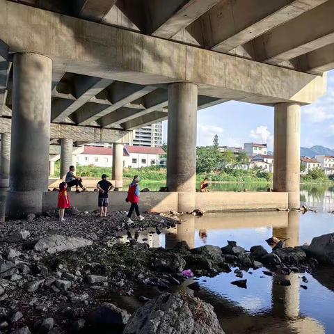 开心放暑假 安全不放假——“桐小”共桐爱205中队阳光小队暑期巡河实践活动