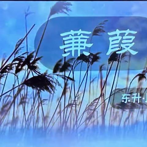 《诗经·蒹葭》 —— 记东升小学四六班第十八届校园艺术节