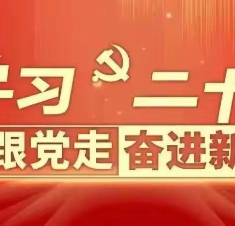 红领巾心向党，我与祖国共成长_____       三（10）中队甘晨曦争章纪实