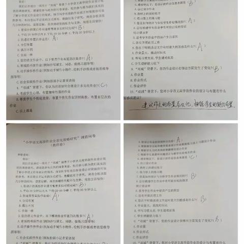 《小学语文高段作业全息化策略研究》调查报告