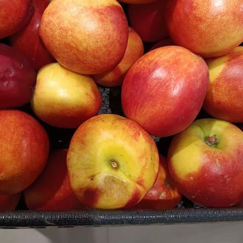 5月25号门店自查