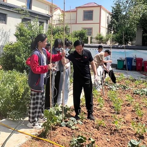 校本课程助力“双减”落地    山黄小学劳动实践课研讨活动