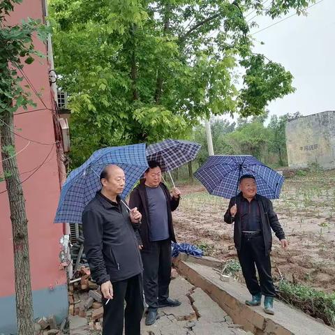 群众利益无小事，冒雨趟水看灾情