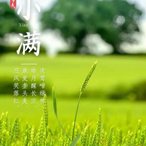 昭苏县胡松图喀尔逊乡幼儿园小手拉大手——共推普通话“时在小满，收获满满”