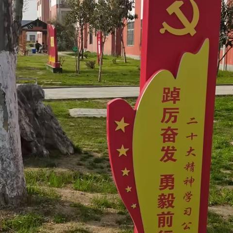 【陆集中心学校党支部】一心向党   甘为红烛