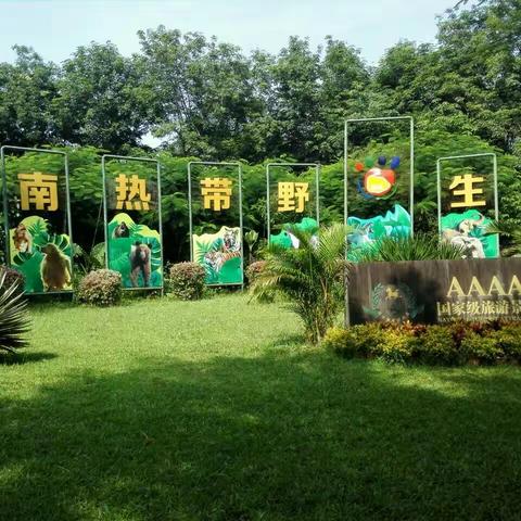 “探秘热带动植物，传承冯白驹精神” ——海口市秀英区文风小学2025年春季社会实践活动