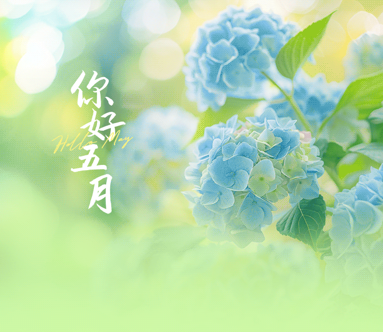 “探秘自然生态，传承红色基因，触摸科技未来”——儋州环新英湾黄冈高级中学2025年春季研学活动