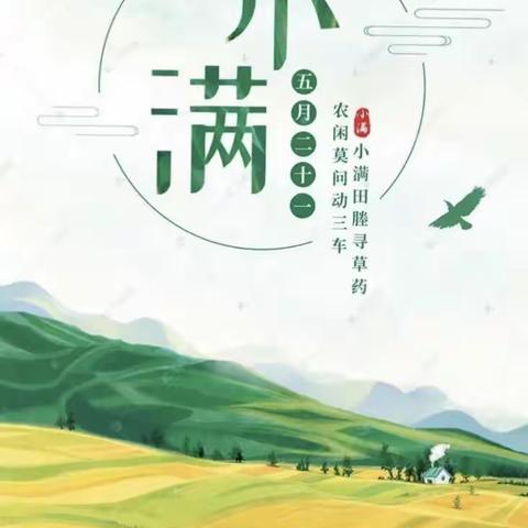 《小满小满，麦粒渐满》——大班组小满主题活动