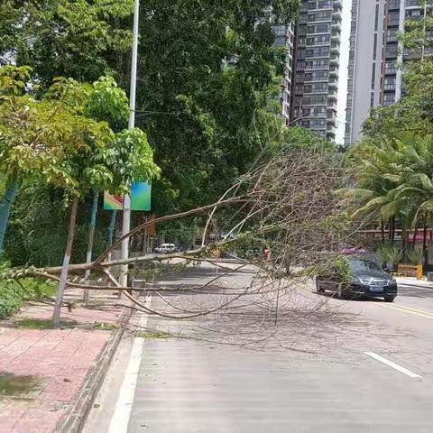 第九小组：齐力清除路障 确保道路畅通