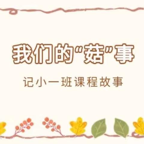 我们的“菇”事——小一班课程故事