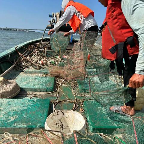 海口市综合行政执法局海洋和渔业行政执法支队开展违规渔具清理整治专项行动