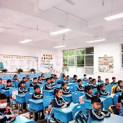 小（14）的课外实践活动