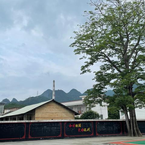 种育人的种子，开品德之花——记参加省基础教育小学道德与法治学科教研基地集体研训活动