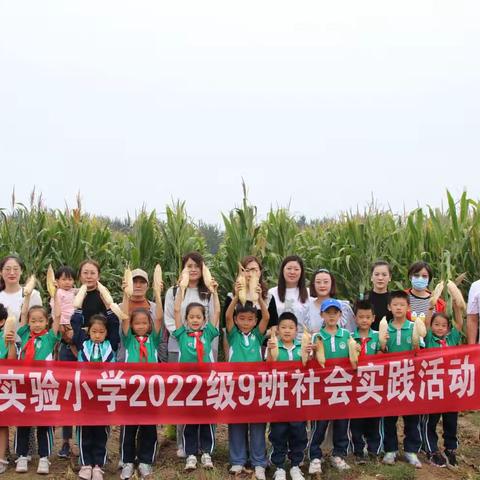 劳动庆丰收，走进美丽乡村——实验小学2022级9班社会实践活动