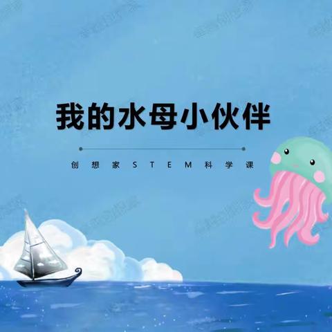 《我的水母小伙伴》