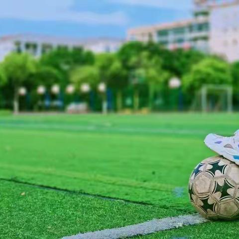 ⚽足球点亮梦想，绿茵放飞希望--记鹿阜小学二（2）班足球梦