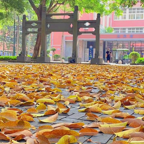 关注学生心理变化，浇灌学生心灵之花——全员轮训第二天学习简记