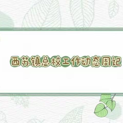 西苏镇总校工作动态周记（2023.5.15-2023.5.21）