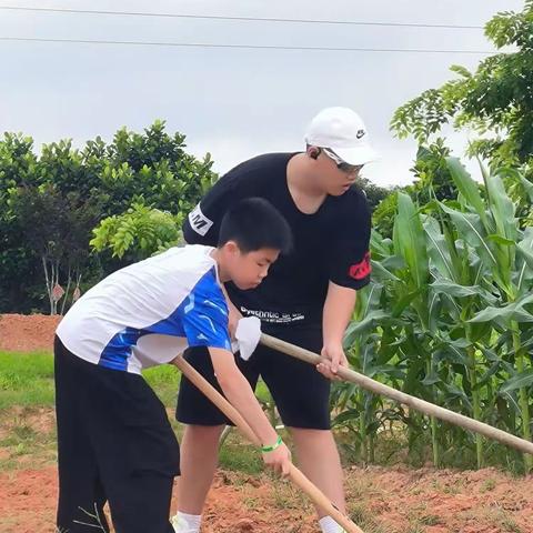 享劳动之乐，悟劳动之美——记愉园中学初一（4）班劳动实