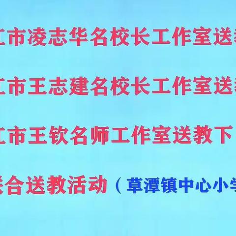 携手齐奋进 共谋助成长——湛江市凌志华名校长工作室送教下乡活动