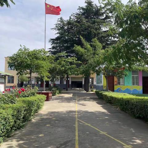 张台小学幼儿园的美篇