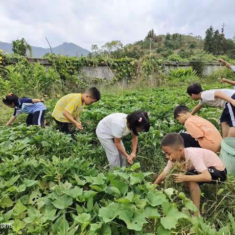 劳动最光荣