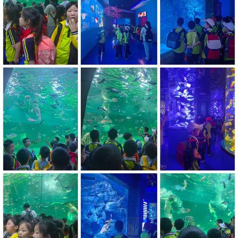 乐探自然，动趣童年-2104夏季研学之旅