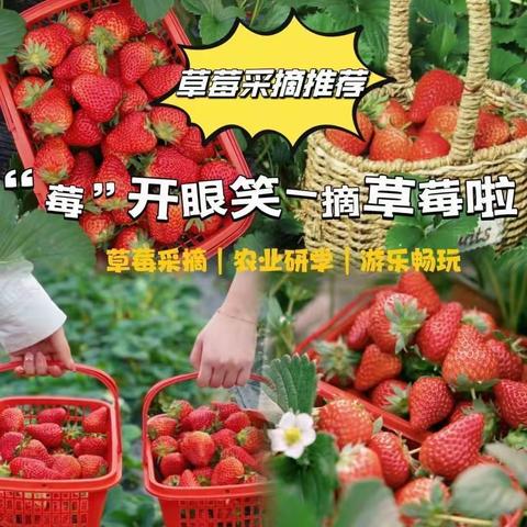 春日趣野—自然美育研学