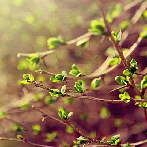 研习作策略，促妙笔生花