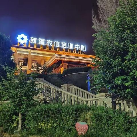 以学增智，提高本领