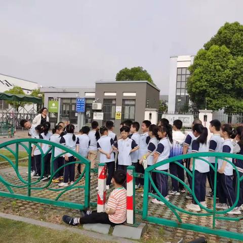 大新实验学校2021级5班社会实践活动