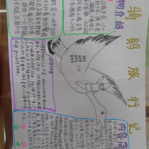 读名著，品书香，阅经典