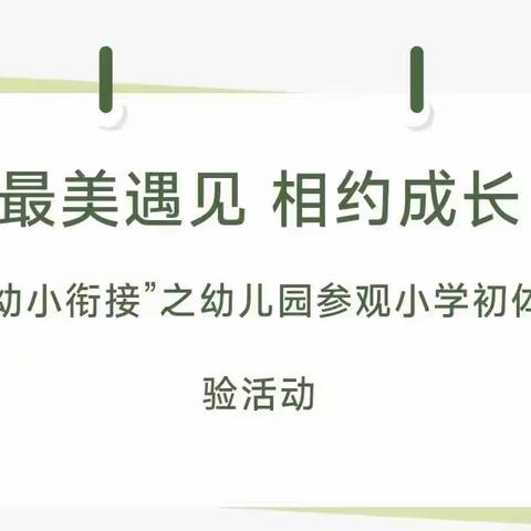 《幼小始于心    衔接始于行》——睿蕾幼儿园的孩子走进韩寺镇中心小学进行小学初体验活动圆满成功[转