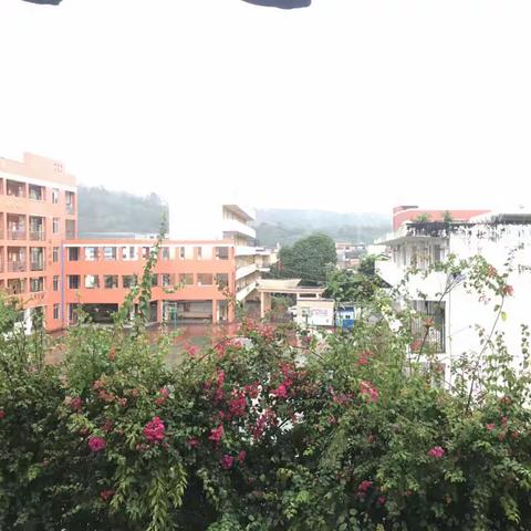 美化学校环境 创建美丽校园