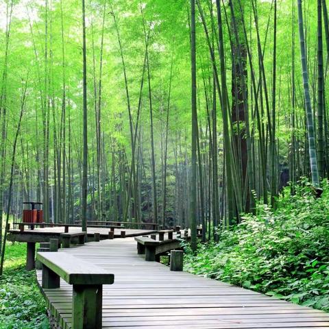 聚焦道法高效复习    共研分享交流心得----富源学区道法复习策略研讨实况