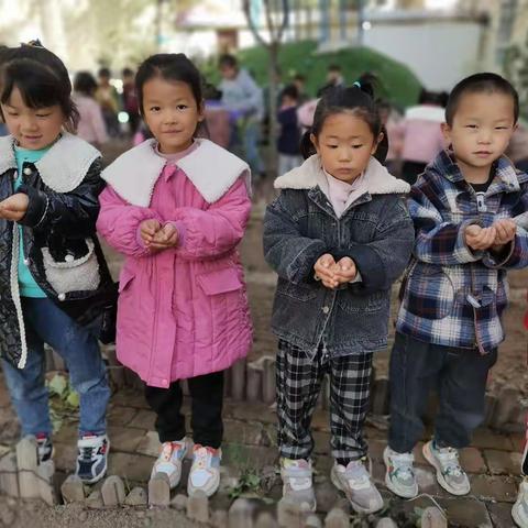 庙后幼儿园大三班劳动实践活动——《麦田守望者》