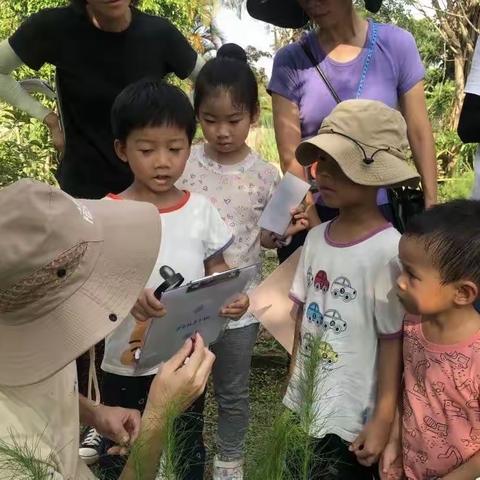 迎六一儿童节5.28周日小农夫活动