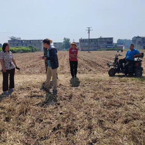 界首市第四人民医院项目地质勘察工作进驻施工