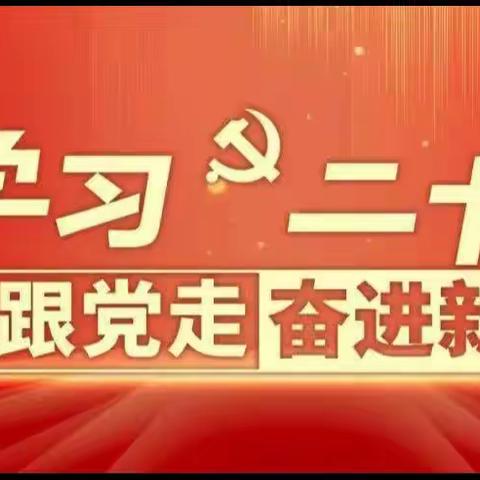 艰苦奋斗,振兴中华                     ——“龙江是我家”           涌泉中学主题团队课活动