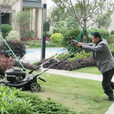 江门君逸府｜社区手艺人专栏