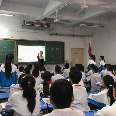 “中小学衔接共提升，教学研讨促成长”