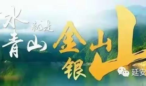 延安市桥北国有林管理局张村驿国有生态实验林场开展“国际生物多样性日”宣传活动