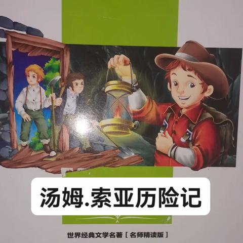 大坞镇休城小学六年级《汤姆.索亚历险记》阅读记录