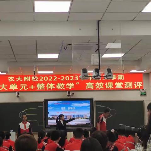 跟岗学习助提升，学无止境促成长——记乌拉盖管理区第一小学教师赴呼市农大附中跟岗培训（五）