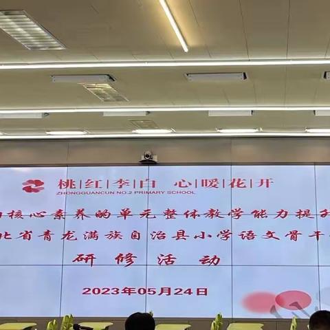 （九组）教学观摩促成长 切磋研摩成美玉       ____小学语文骨干研修总结