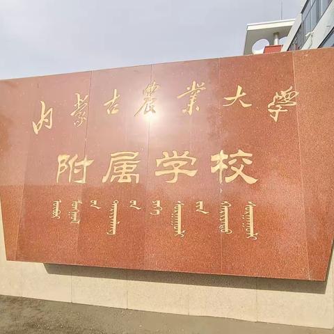 跟岗学习 以行促思共成长