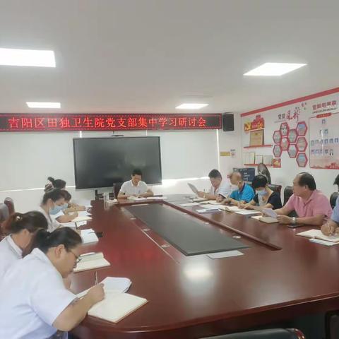 吉阳区田独卫生院党支部召开集中学习研讨会