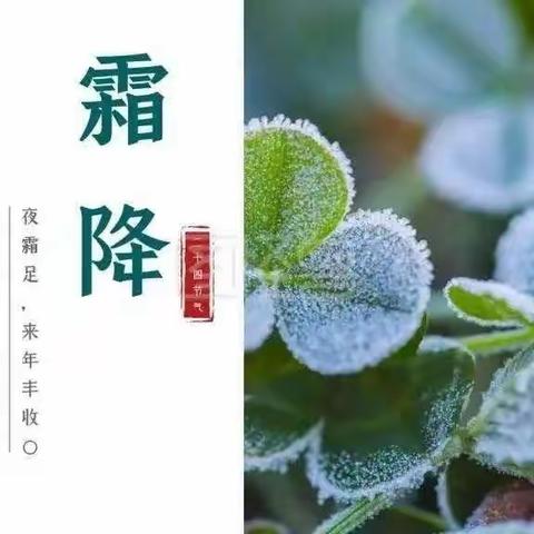 ✨霜降有霜🌾米谷满仓✨——民生幼儿园中班组霜降美篇