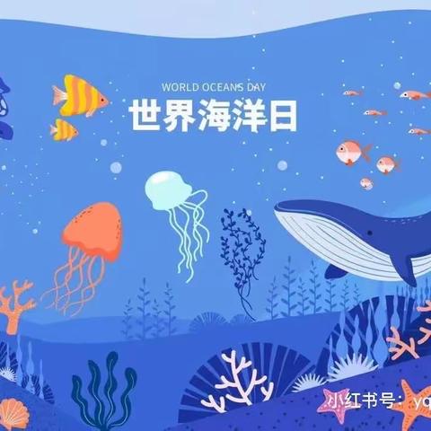 【泉心.小海棠】爱海洋应该是365天的事——世界海洋日